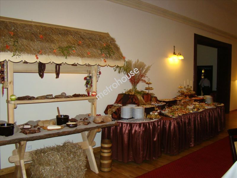 Hotel na sprzedaż, Leżajski, Nowa Sarzyna