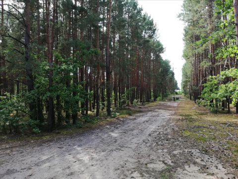 Sprzedaż Działka Otwock