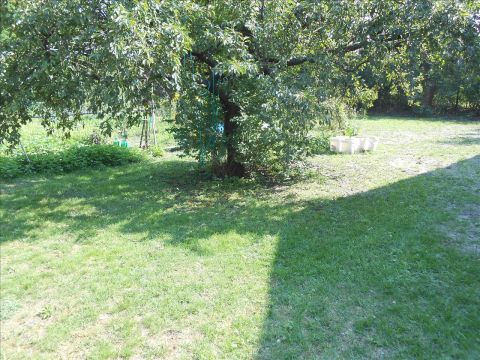Sprzedaż Działka Skierniewice