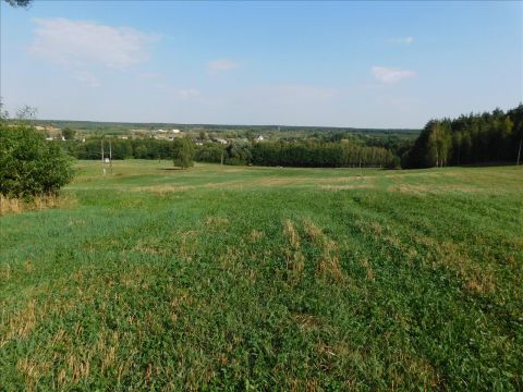 Sprzedaż Działka Ciechocin, pow. golubsko-dobrzyński