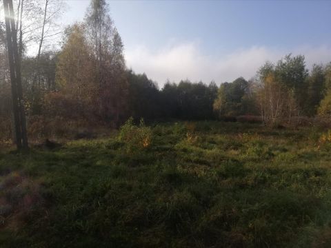 Sprzedaż Działka Aleksandrów Łódzki, pow. zgierski