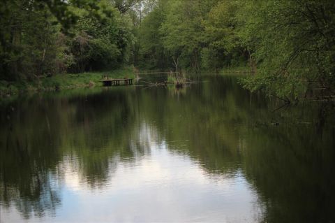 Sprzedaż Działka Pęcice Małe, pow. pruszkowski