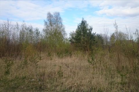 Sprzedaż Działka Bełchatów