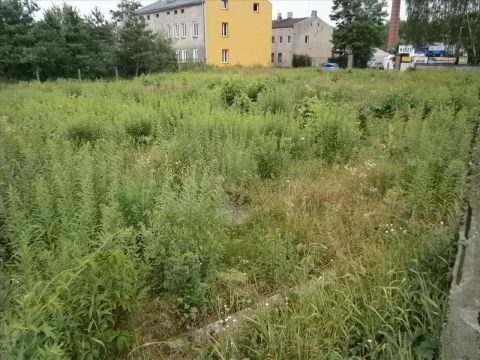 Sprzedaż Działka Tomaszów Mazowiecki