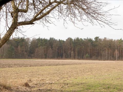 Sprzedaż Działka Wola Szydłowiecka, pow. skierniewicki