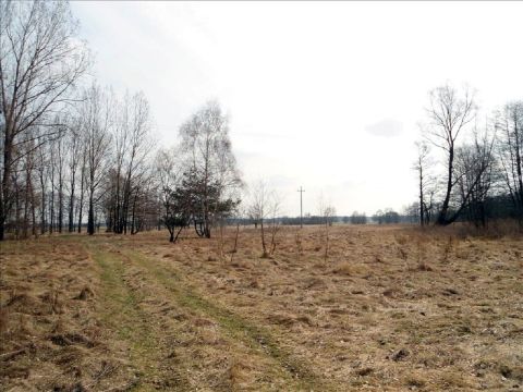 Sprzedaż Działka Arkadia, pow. łowicki