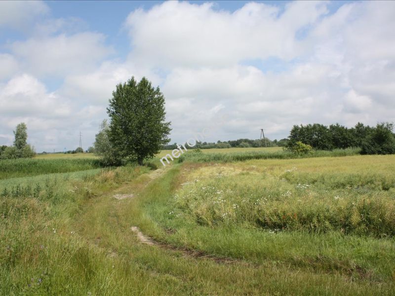 Działka na sprzedaż, Nowodworski, Świerznica