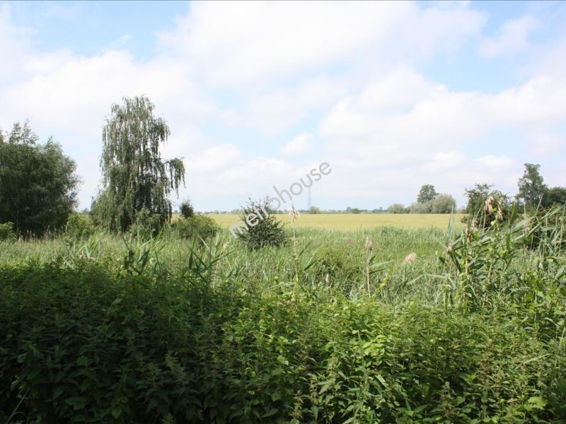 Działka na sprzedaż, Nowodworski, Świerznica