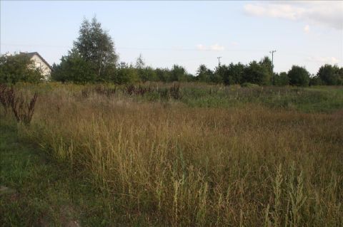Sprzedaż Działka Skierniewice