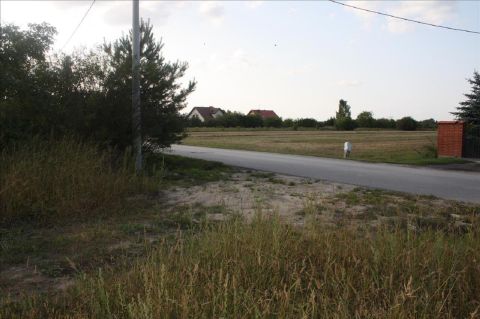 Sprzedaż Działka Skierniewice