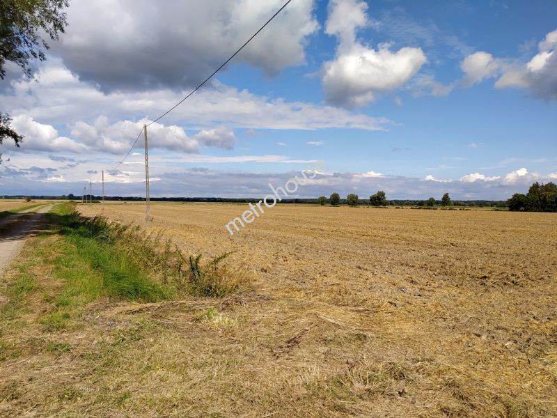 Działka na sprzedaż, Nowodworski, Rybina