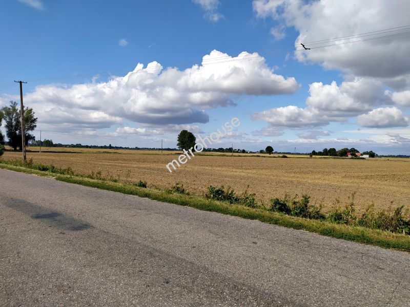 Działka na sprzedaż, Nowodworski, Rybina