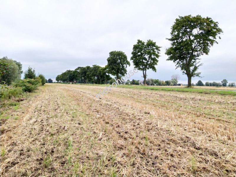 Działka na sprzedaż, Nowodworski, Sztutowo, Łaszka