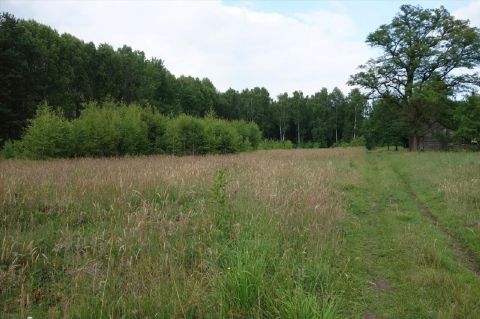 Sprzedaż Działka Borowiny, pow. skierniewicki
