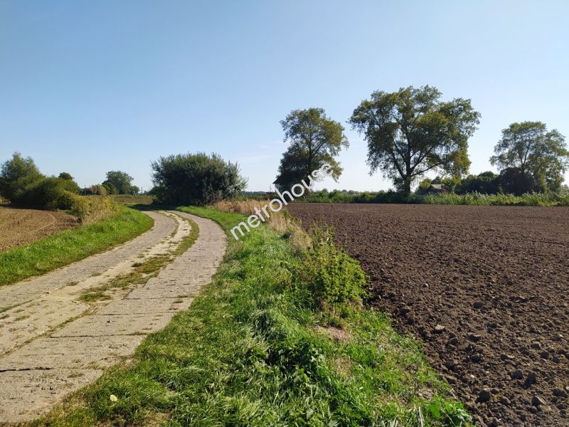 Działka na sprzedaż, Nowodworski, Sztutowo, Kobyla Kępa