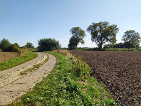 Sprzedaż Działka Kobyla Kępa, pow. nowodworski
