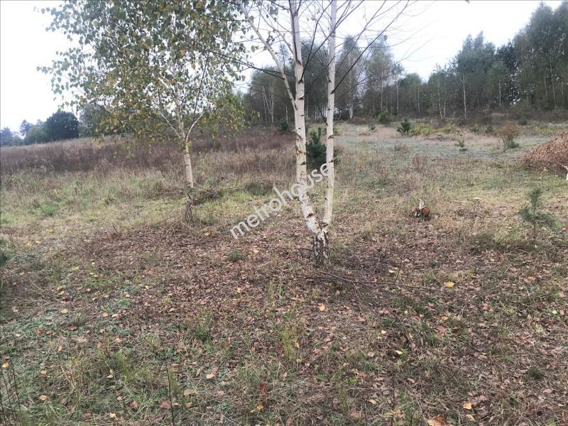 Działka na sprzedaż, Skierniewicki, Wólka Strobowska