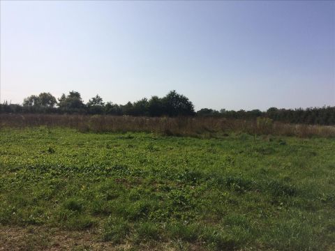 Sprzedaż Działka Wilków, pow. opolski