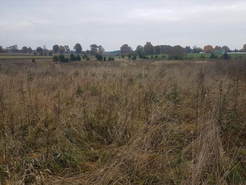 Sprzedaż Działka Stare Polaszki, pow. kościerski