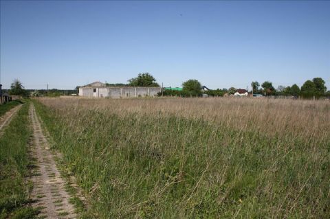 Sprzedaż Działka Topola, pow. skierniewicki