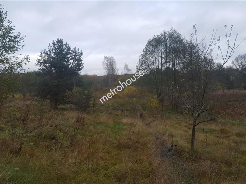 Działka na sprzedaż, Ostródzki, Żabi Róg