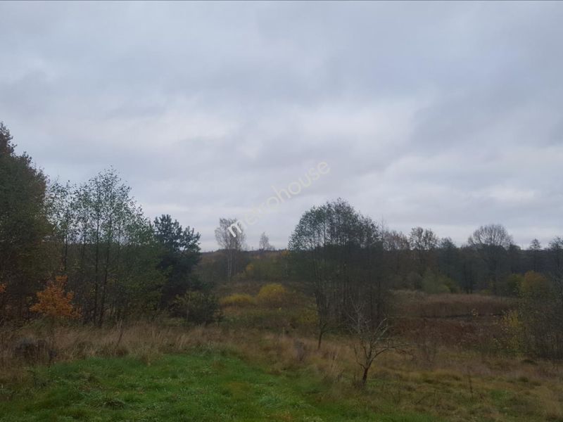 Działka na sprzedaż, Ostródzki, Żabi Róg