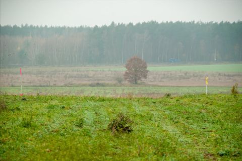 Sprzedaż Działka Grzędzice, pow. stargardzki