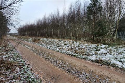 Sprzedaż Działka Działdowo
