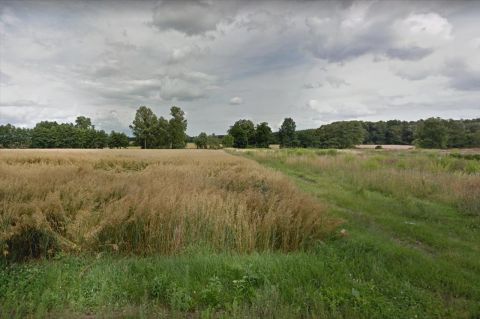 Sprzedaż Działka Rybojedzko, pow. poznański