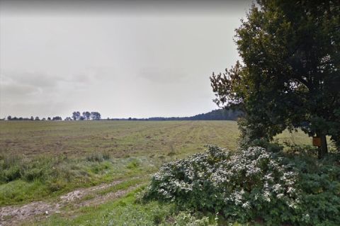Sprzedaż Działka Dłutów, pow. pabianicki