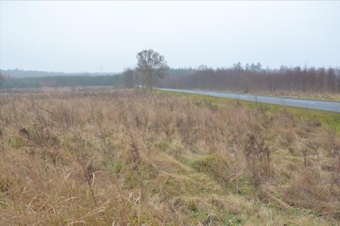 Sprzedaż Działka Sługocice, pow. tomaszowski