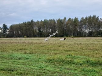 Działka na sprzedaż, Piaseczyński, Prażmów