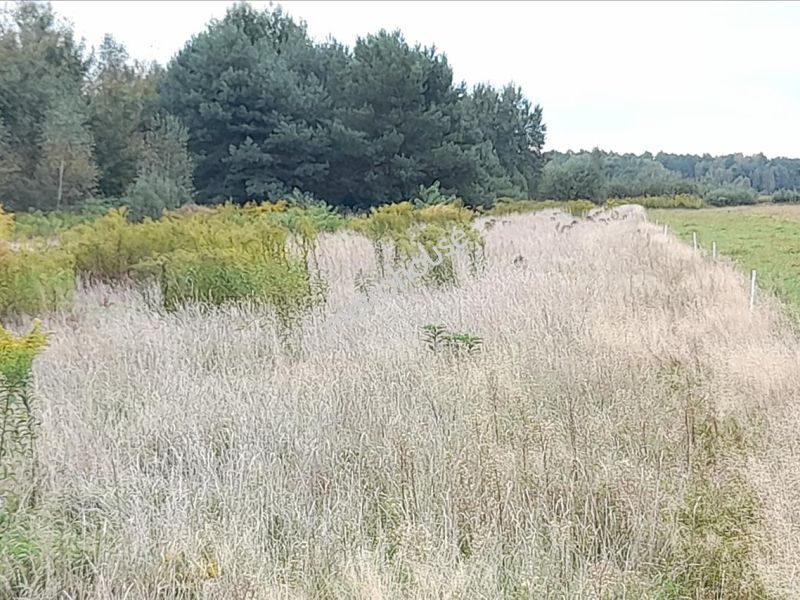 Działka na sprzedaż, Piaseczyński, Prażmów