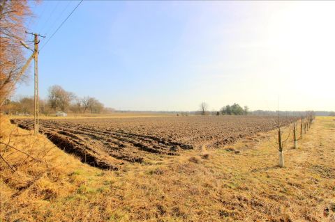 Sprzedaż Działka Zwierzyniec Duży, pow. bełchatowski