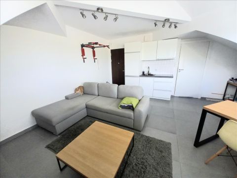 Sprzedaż Mieszkanie Mazowiecka, Skierniewice