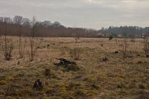 Sprzedaż Działka Zdunowo, Szczecin