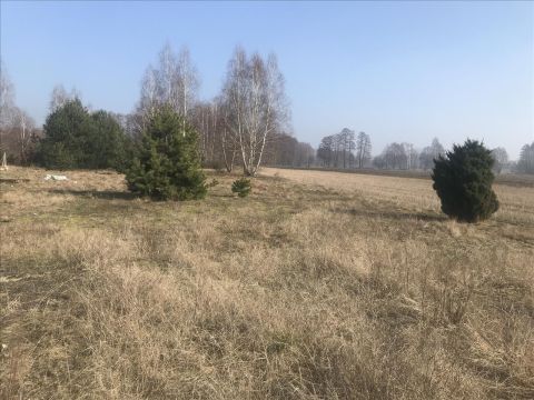 Sprzedaż Działka Słomków, pow. skierniewicki