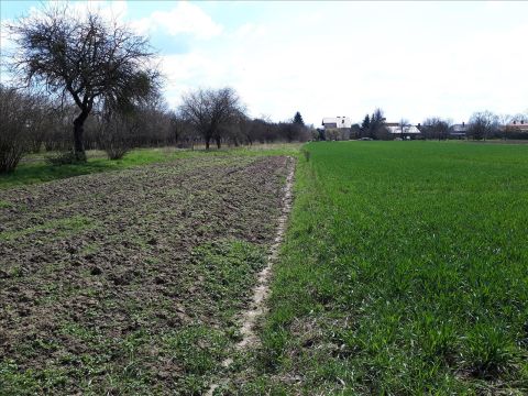 Sprzedaż Działka Terespol, pow. bialski