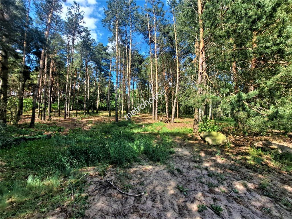 Plot   for sale, Siedlecki, Kisielany-Kuce
