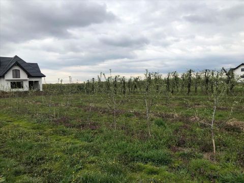 Sprzedaż Działka Karczew, pow. otwocki