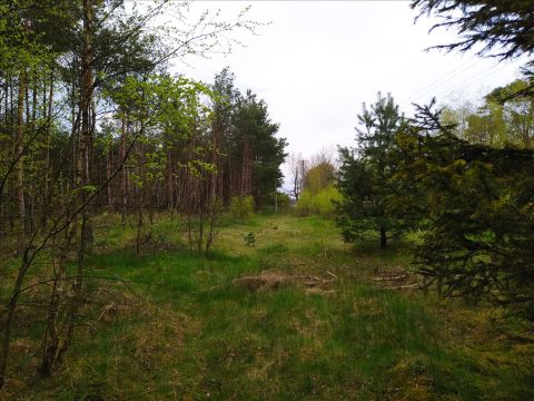 Sprzedaż Działka Sycanów, pow. łaski