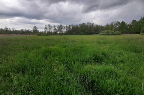 Sprzedaż Działka null