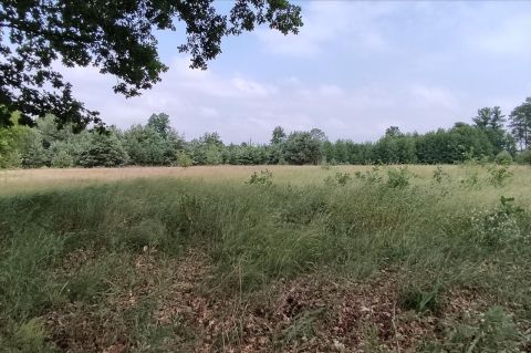Sprzedaż Działka Nowe Polesie, pow. nowodworski