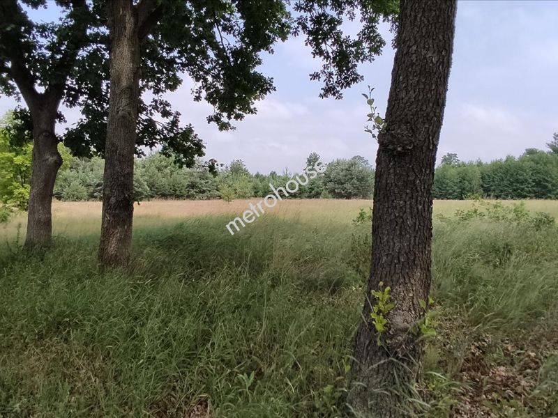 Działka na sprzedaż, Nowodworski, Nowe Polesie