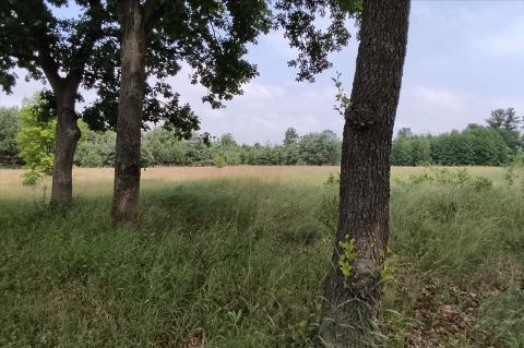 Sprzedaż Działka Nowe Polesie, pow. nowodworski
