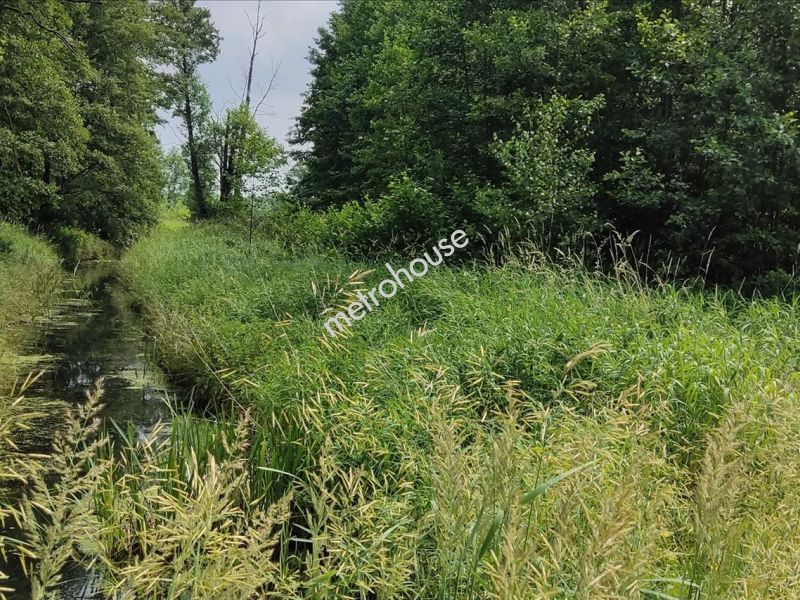 Działka na sprzedaż, Nowodworski, Nowe Polesie