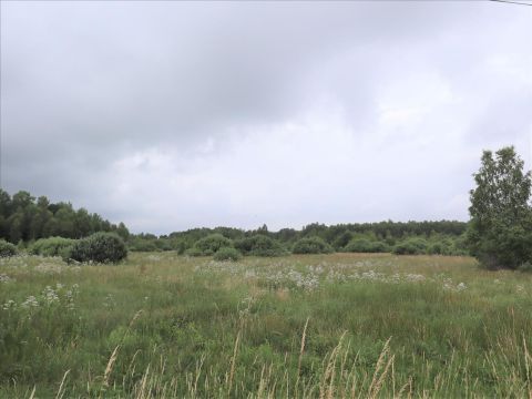 Sprzedaż Działka Buczek, pow. białogardzki