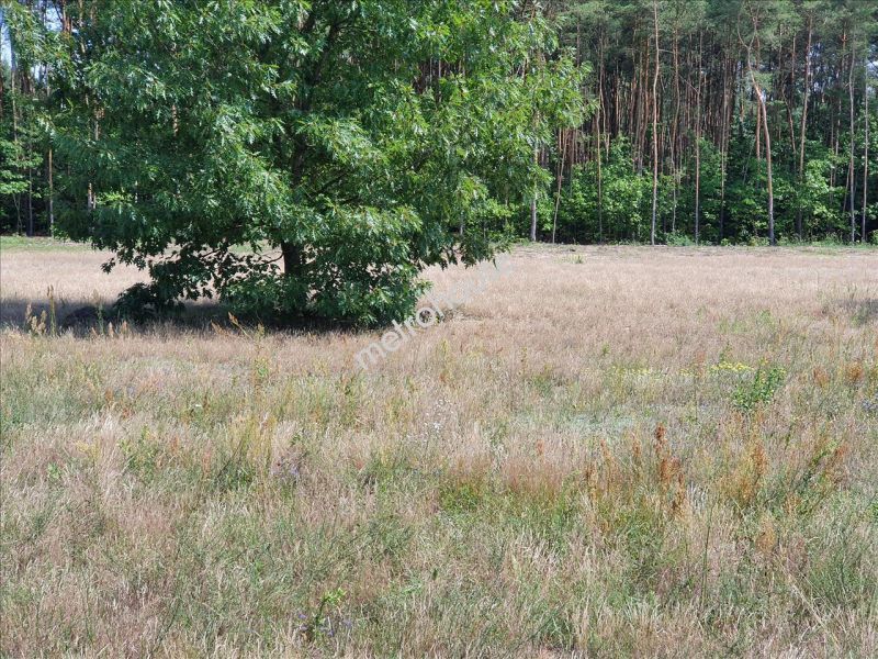 Działka na sprzedaż, Pruszkowski, Nadarzyn