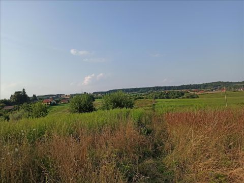 Sprzedaż Działka Narama, pow. krakowski