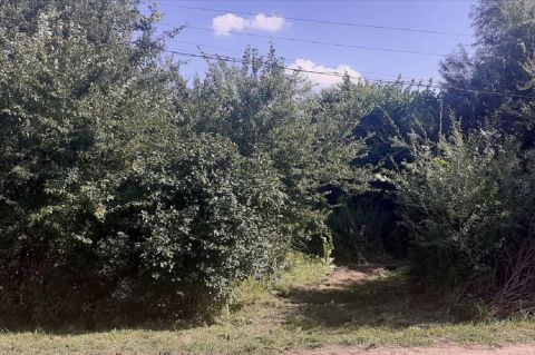 Sprzedaż Działka Gołków, pow. piaseczyński